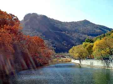 日韩蜜芽AV蜜芽在线，万能鲨鱼